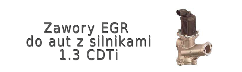 egr - silniki 1.3